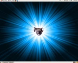 Ubuntu-Karmic-Koala-9.10-Released
